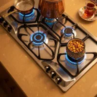 اجاق گاز دو پلوپز تایمردار