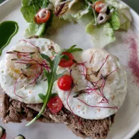 طبخ غذای ثمین