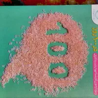 کتاب|کتاب و مجله آموزشی|خسروشاه, |دیوار