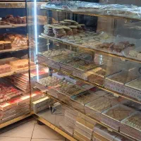 نیروخانم جهت کار