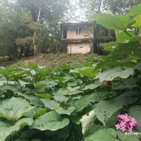 فروش مسکونی70متری شهرک بهارستان