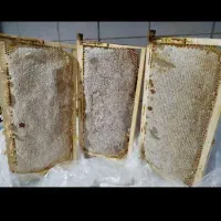 عسل ب شرط