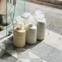 دوغ سنتی|خوردنی و آشامیدنی|شهر ری, علایین|دیوار