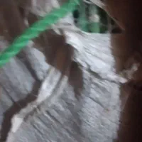 تور ماهیگری