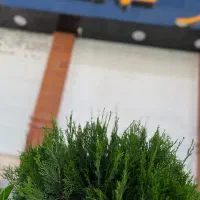 فروش واحد بعثت