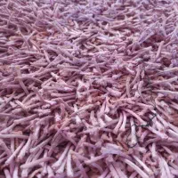 قالیچه|فرش|شیراز, فرهنگ شهر|دیوار