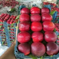گلابی سیبی