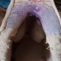 پالان خر