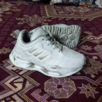 کفش بچگانه
