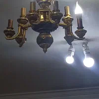 ۹شاخه