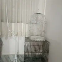 قفس پرنده