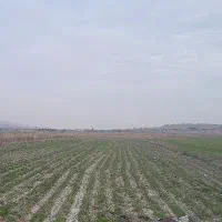 زمین کشاورزی دونبش مناسب احداث باغ