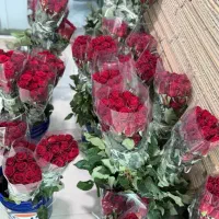 گل عمده ارسال به تمام نقات کشور
