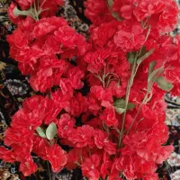 فروش گل مصنوعی قیمت عمده