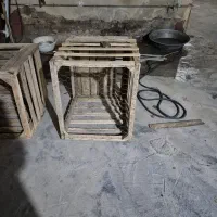 لانه پرنده