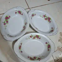 مرغ خوری ژاپن گلسرخی