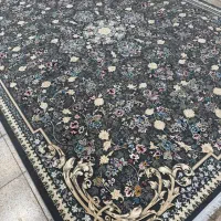 فرش مسعود با ۵۰ درصد تخفیف واقعی