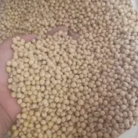 بذر سویا رقم باران