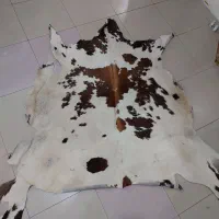 چرم گاو