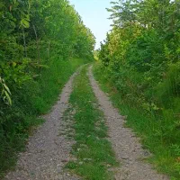 زمینهای 500متری کاسبی