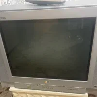 تلویزیون