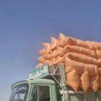 کاه دیم  بارگیری شده  آماده در مشهد
