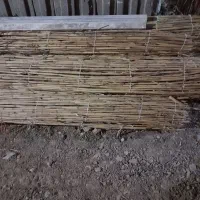 نی برای سایبان ماشین و دامداری ی