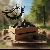 فروش خط تولید ذغال