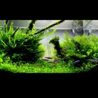 اکواریوم شرکتی فول لوازم