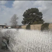 از دست اول خرید کنید،واسطه ودلال هاحذف|خدمات پیشه و مهارت|چهارباغ, |دیوار