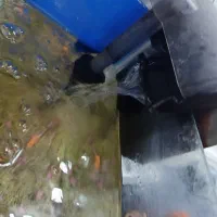 آکواریوم
