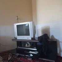 تلویزیون