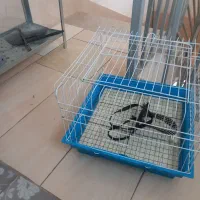 قفس بزرگ