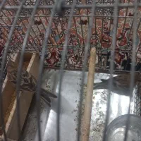 جوجه گلبسر