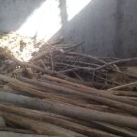 فروش کنده خشک