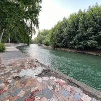 اجاره ویلا،سوئیت باغبهادران باغبادران