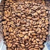 پخش عمده قهوه تازه روبوستا، عربیکا و میکس