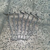 رگال و مانکن