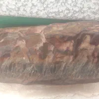 سنگ باستانی