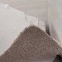 پالاز موکت کاملا تمیز