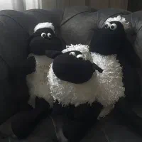 عروسک ۱۰۰ تومن
