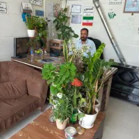 زمین ۱۵۳ متری با پروانه دو طبقه لنگرود قم
