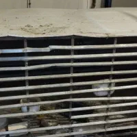 گنجه ،قفسه،کله بزرگ