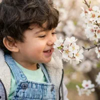 ادیت و روتوش عکس