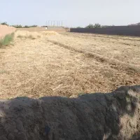 زمین کشاورزی