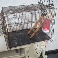 قفس پرنده