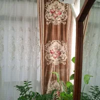 والان پرده نونو