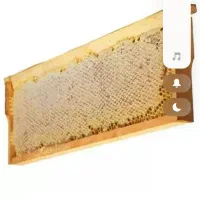 عسل کیلوئی خالص