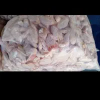 بال  مرغ گرم بصورت عمده