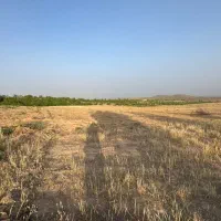 زمین کشاورزی